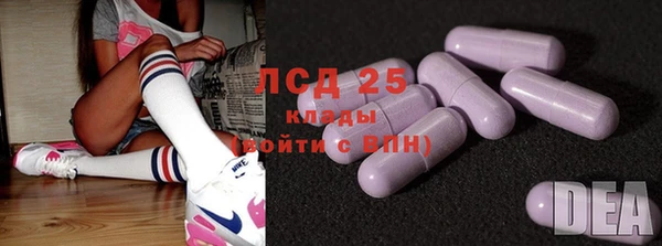 крисы Елабуга