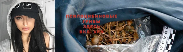 крисы Елабуга