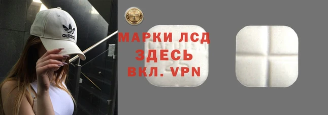 крисы Елабуга