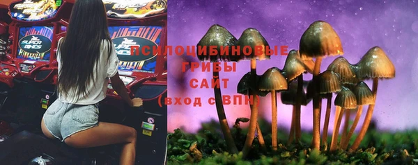 крисы Елабуга