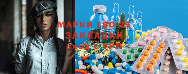 крисы Елабуга